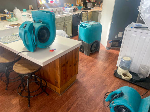 Best Sewage cleanup and water damage restoration  in Lake Cherokee, TX