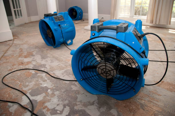 Best Water damage restoration near me  in Lake Cherokee, TX
