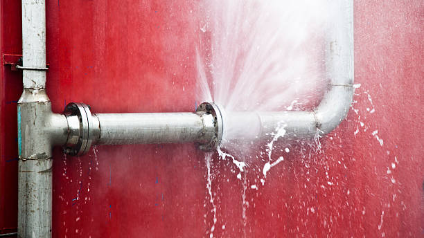 Best Ceiling water damage repair  in Lake Cherokee, TX