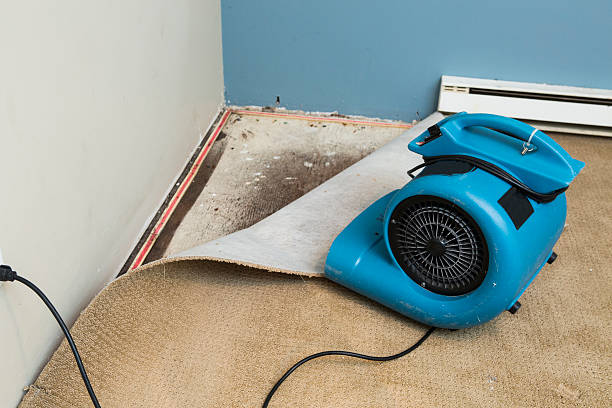 Best Water damage restoration insurance claims  in Lake Cherokee, TX